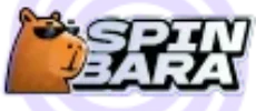 Spin bara